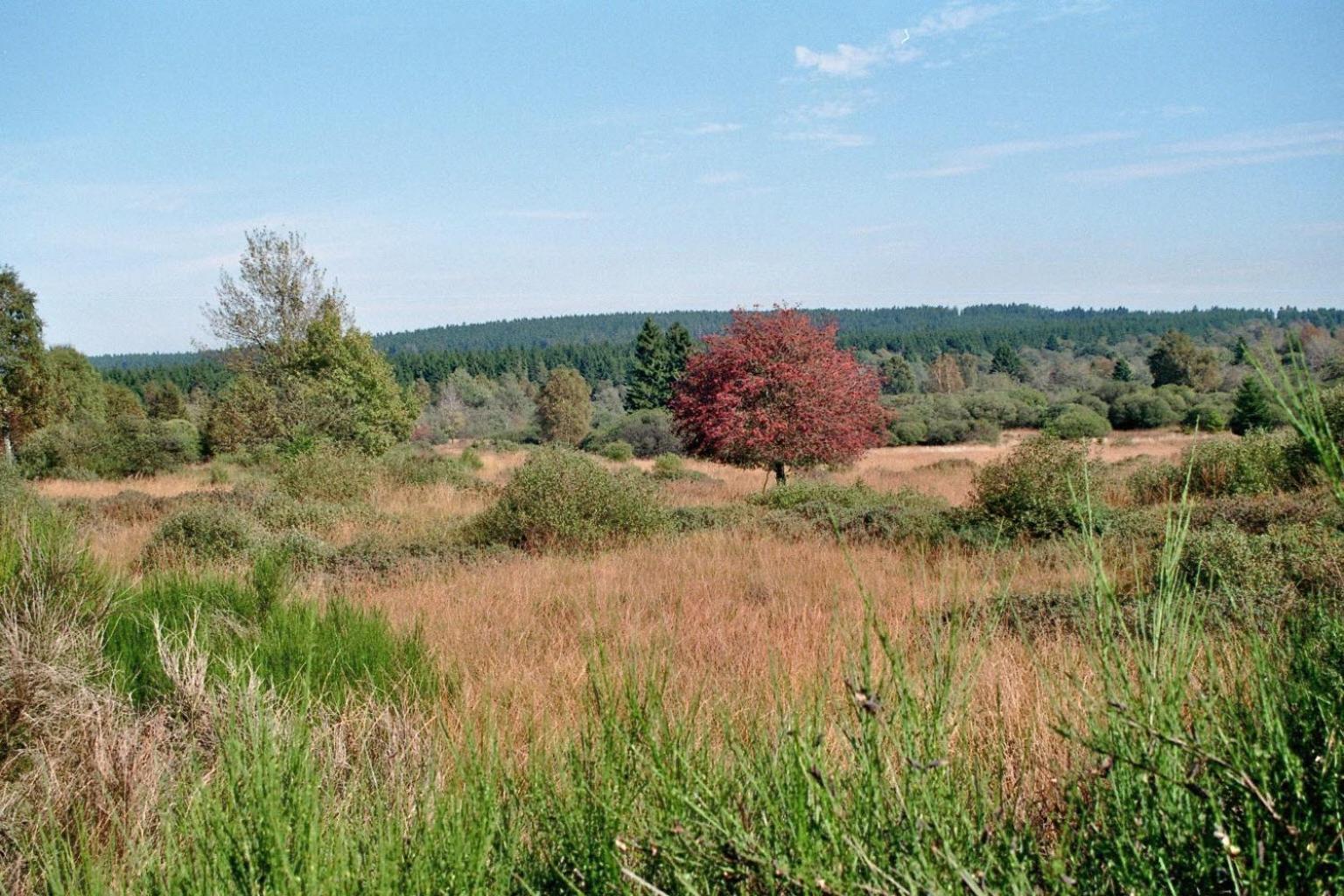 Holiday home Maison Riviere